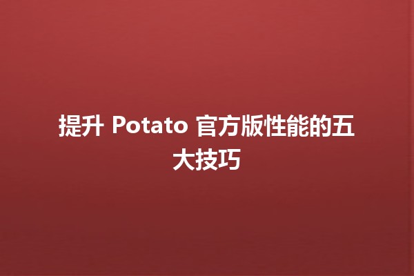 🚀 提升 Potato 官方版性能的五大技巧 💡