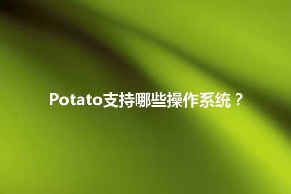 Potato支持哪些操作系统？🖥️🍟