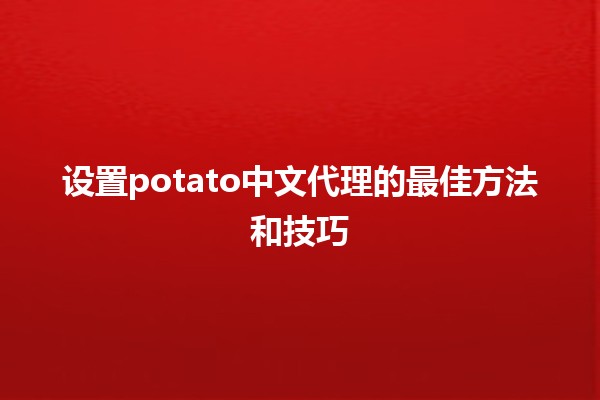 🌟 设置potato中文代理的最佳方法和技巧💻