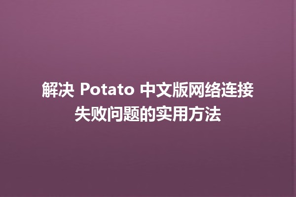 🎮 解决 Potato 中文版网络连接失败问题的实用方法