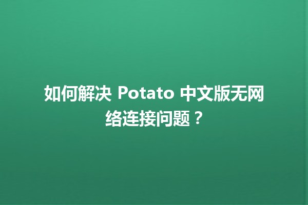 🍟 如何解决 Potato 中文版无网络连接问题？🔧