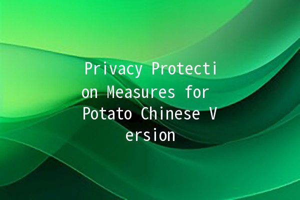 Privacy Protection Measures for Potato Chinese Version 🚀🔒