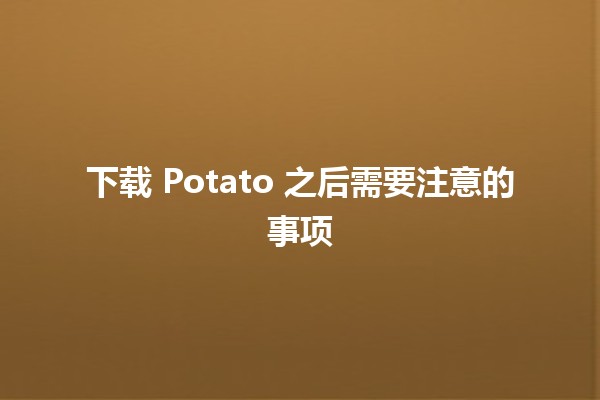 下载 Potato 之后需要注意的事项 🥔✨