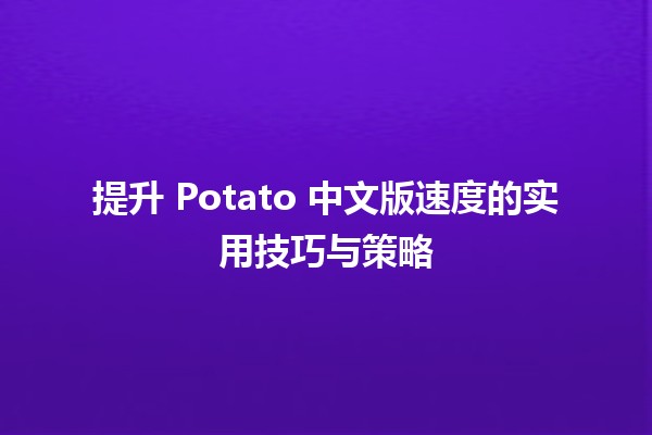 🚀 提升 Potato 中文版速度的实用技巧与策略 🌟