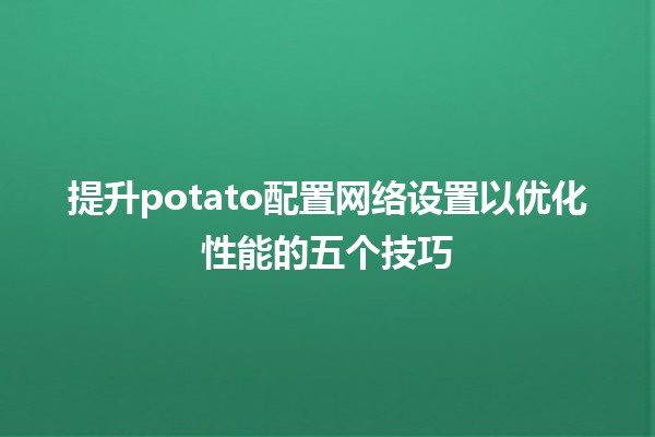 🥔 提升potato配置网络设置以优化性能的五个技巧 🚀