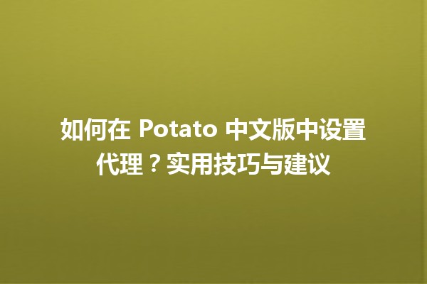 🌐 如何在 Potato 中文版中设置代理？实用技巧与建议 💡