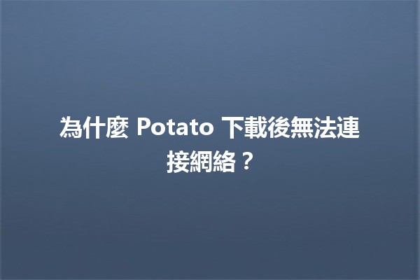 為什麼 Potato 下載後無法連接網絡？🛠️🔌