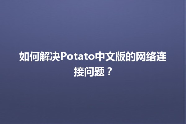 如何解决Potato中文版的网络连接问题？💻🔧