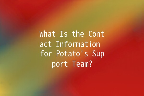 What Is the Contact Information for Potato's Support Team? 🥔📞