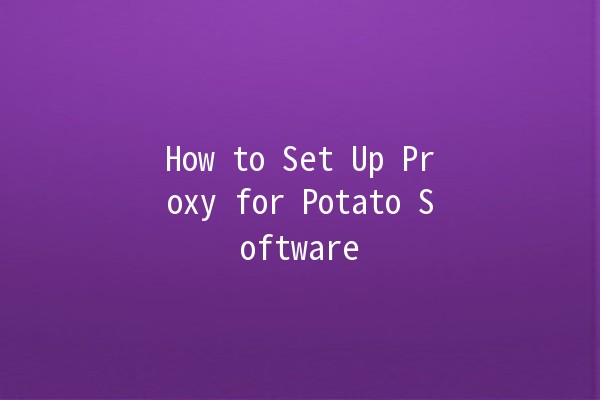 How to Set Up Proxy for Potato Software 🌟🖥️