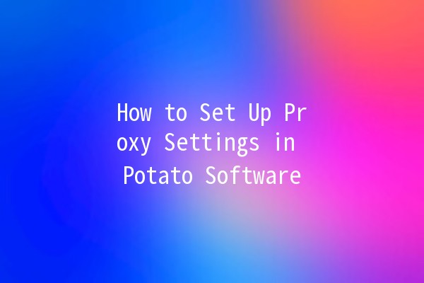 How to Set Up Proxy Settings in Potato Software 🥔✨