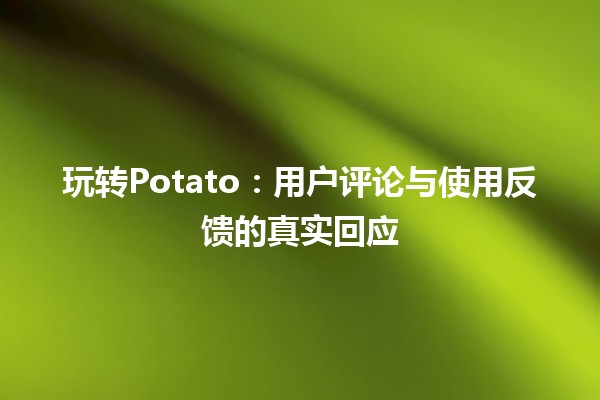 🌟玩转Potato：用户评论与使用反馈的真实回应🍟