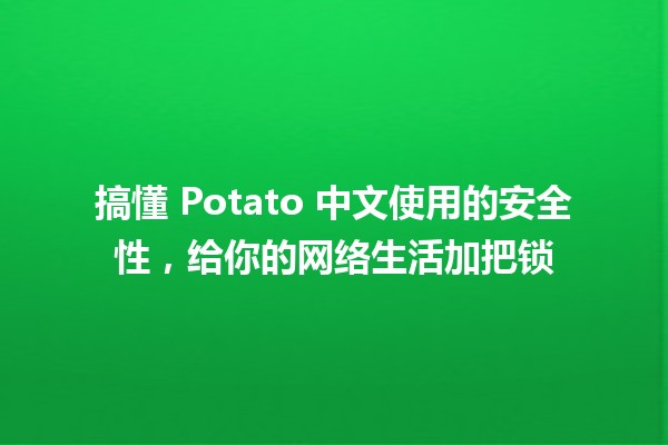 🥔 搞懂 Potato 中文使用的安全性，给你的网络生活加把锁🔒