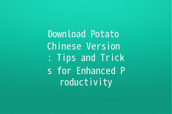 Download Potato Chinese Version 🌟: Tips and Tricks for Enhanced Productivity