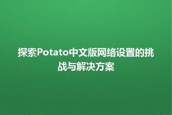 探索Potato中文版网络设置的挑战与解决方案🌐🍟