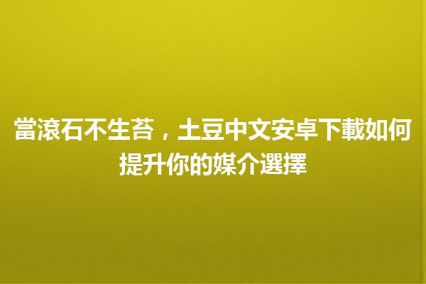 🌟 當滾石不生苔，土豆中文安卓下載如何提升你的媒介選擇