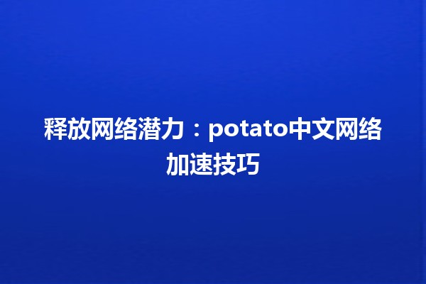 🍟 释放网络潜力：potato中文网络加速技巧 🌐