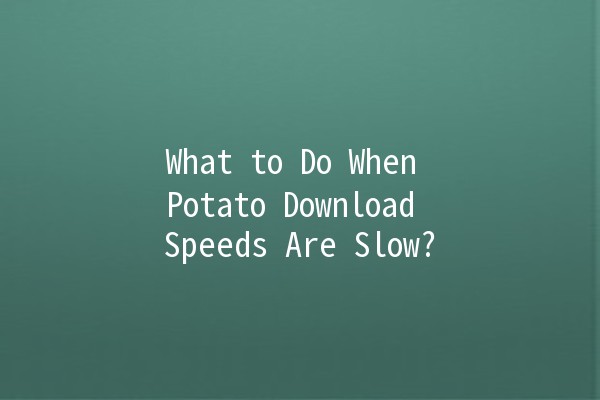 What to Do When Potato Download Speeds Are Slow? 🚀🛠️