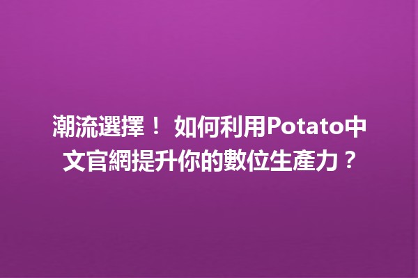 潮流選擇！🍟 如何利用Potato中文官網提升你的數位生產力？