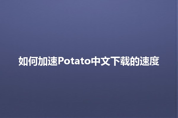 如何加速Potato中文下载的速度🚀✨