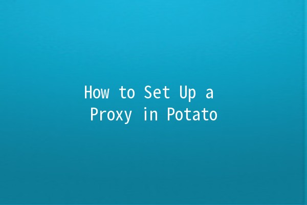 How to Set Up a Proxy in Potato 🌐🥔