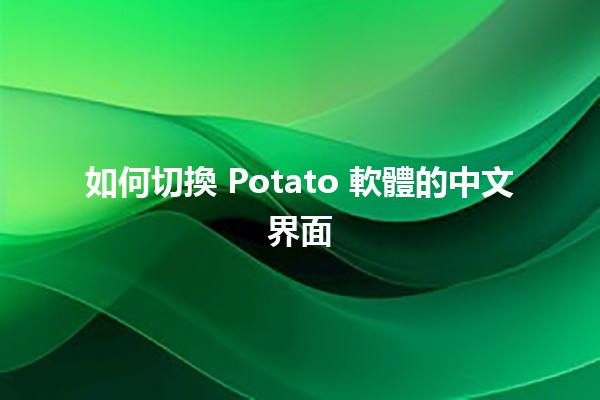 如何切換 Potato 軟體的中文界面🤔💻